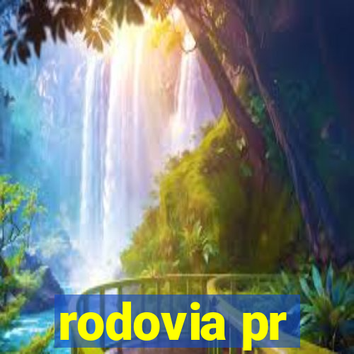 rodovia pr-317 km 155 onde fica